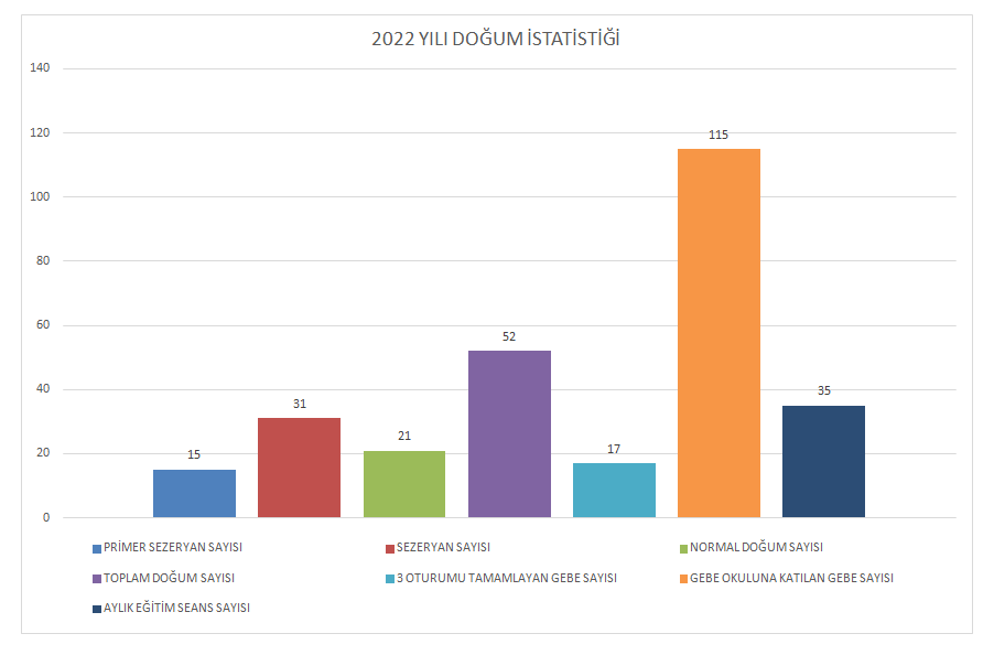 2022_istatistik.PNG